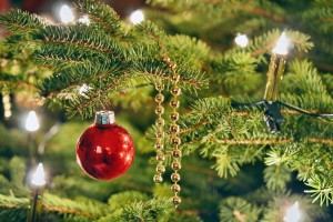 749005_original_R_K_by_Andreas Hermsdorf_pixelio.de