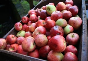 417526_web_R_K_B_by_Rainer Sturm_pixelio.de